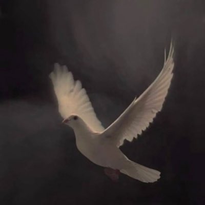 #صورة_جديدة_للملف_الشخصي