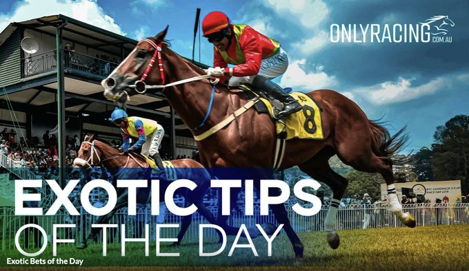 Friday Exacta – Gold Coast R1
🎯 1st: 2, 3, 4, 6
🎯 2nd: 2, 3, 4, 6
💰 Paying 416.67% @ ChaseBet (Best of 3 totes)

Runners to Watch:
– Red Code – Trial winner at Toowoomba. Quietly confident debut expected. Big watch.
– Solidude – 3rd on debut over 1200m at GC Poly. Has race