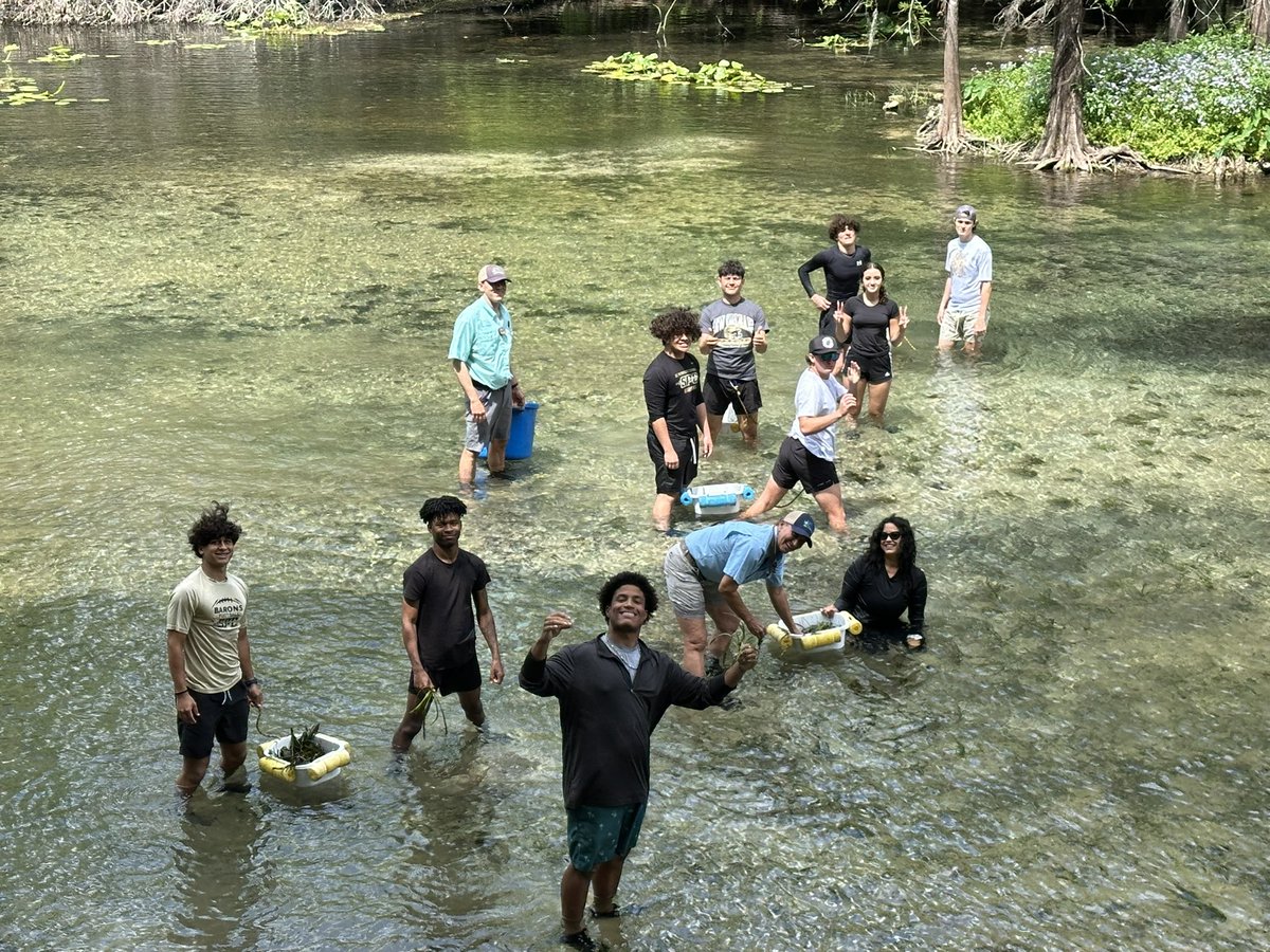 St. Petersburg Catholic High School Environmental Science students made a real impact with the Crystal Springs Foundation, planting 230 tapegrass plants to help restore the head spring after flooding from Milton wiped out the native vegetation. 🌱💧
