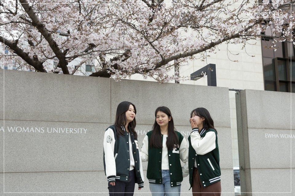 EwhaWomansUniv's tweet photo. 🌸Cherry Blossom Season is Back! Enjoy Ewha Campus with our spring edition lettering and take pictures!

#cherryblossomzone #letteringzone #springcampus #ewhaspring #ewhawomansuniversity #EWHA #UNIV https://t.co/m0S8Q27Cs6