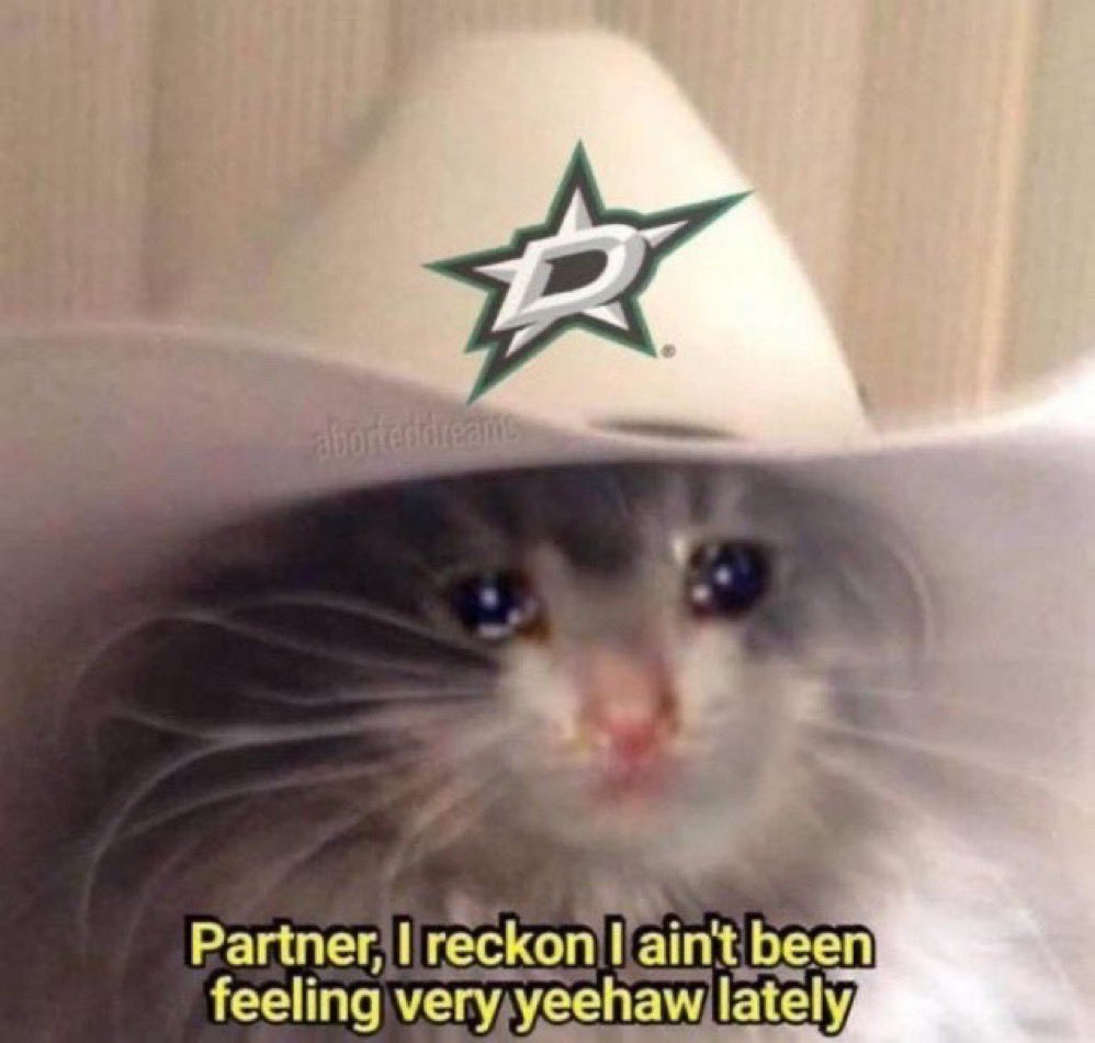barzillier's tweet photo. dallas stars fans in the last week https://t.co/rhmfZT6kz4