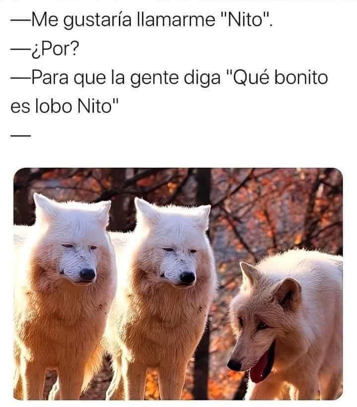 TuzitaXtuitera's tweet photo. https://t.co/XROCTM5I8h