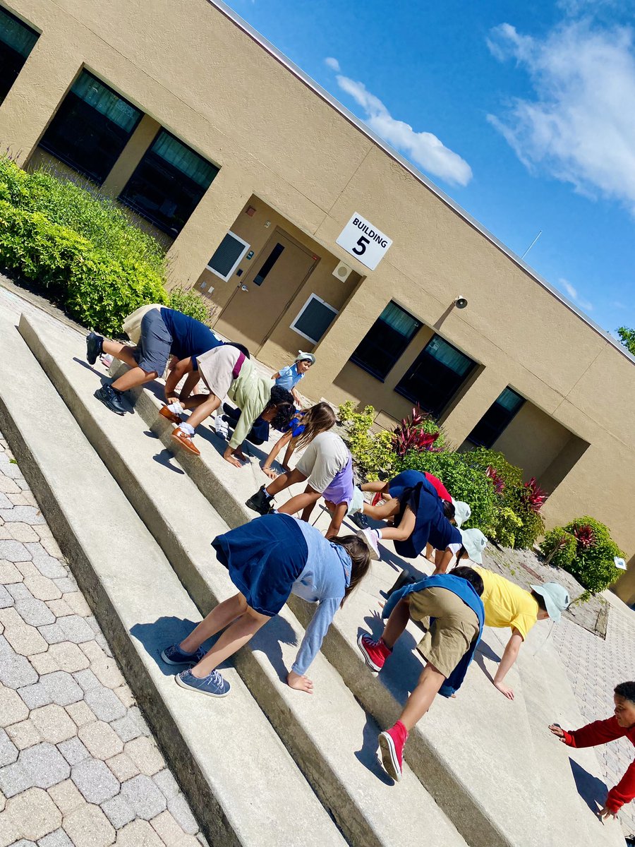 Ms. Ruggiero (@ms_ruggiero1) on Twitter photo Everglades week animal scavenger hunt was a blast!! We identified the different animals in the Everglades and pretended to be them! We had SO much fun!🐻🦋🐍🦅🐊🦦 <a href="/PoincianaCCPS/">Poinciana Elementary</a> <a href="/collierschools/">Collier County Public Schools</a> <a href="/CollierScience/">Collier Science Dept</a> <a href="/MissTMPinFL/">MissP</a> Everglades week animal scavenger hunt was a blast!! We identified the different animals in the Everglades and pretended to be them! We had SO much fun!🐻🦋🐍🦅🐊🦦 <a href="/PoincianaCCPS/">Poinciana Elementary</a> <a href="/collierschools/">Collier County Public Schools</a> <a href="/CollierScience/">Collier Science Dept</a> <a href="/MissTMPinFL/">MissP</a>