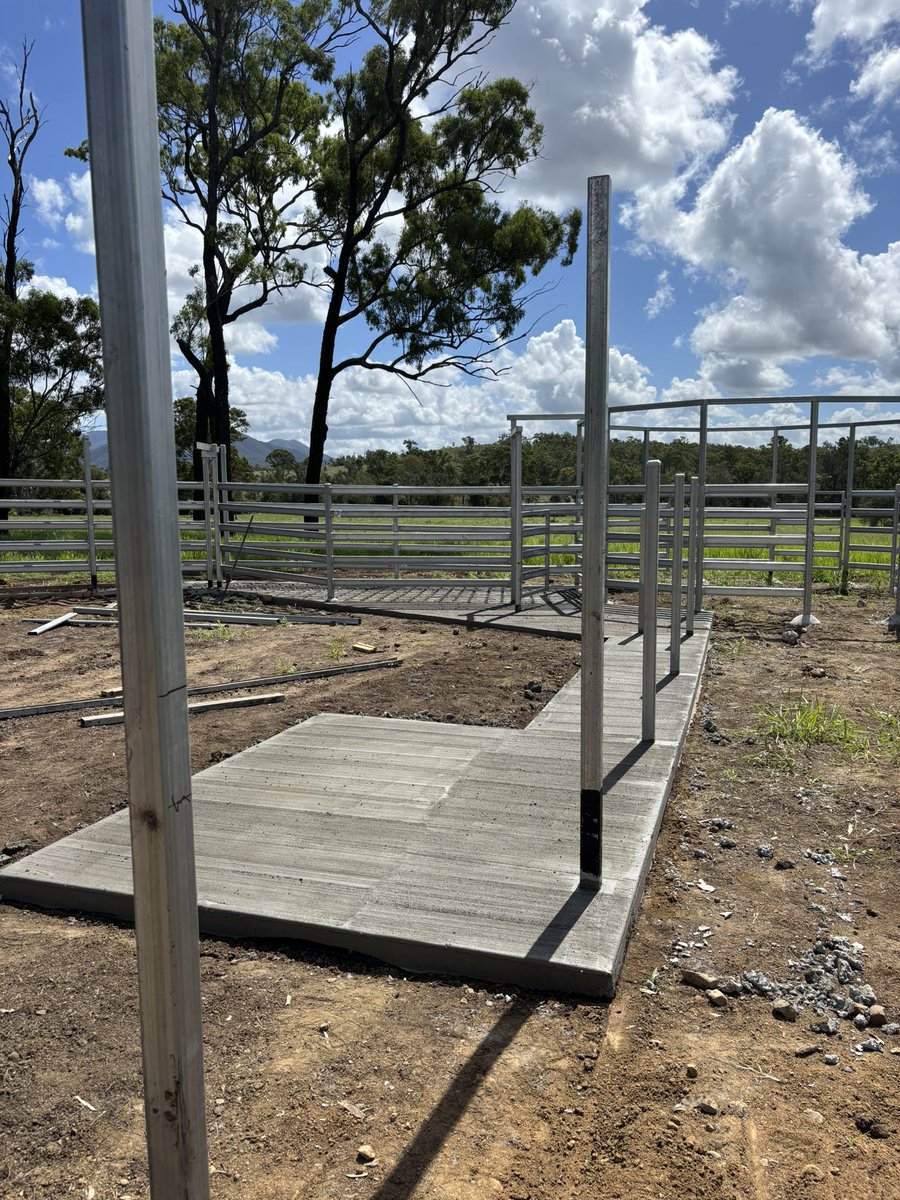 Adam Coffey tweet media