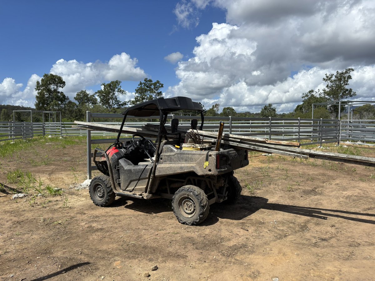 Adam Coffey tweet media