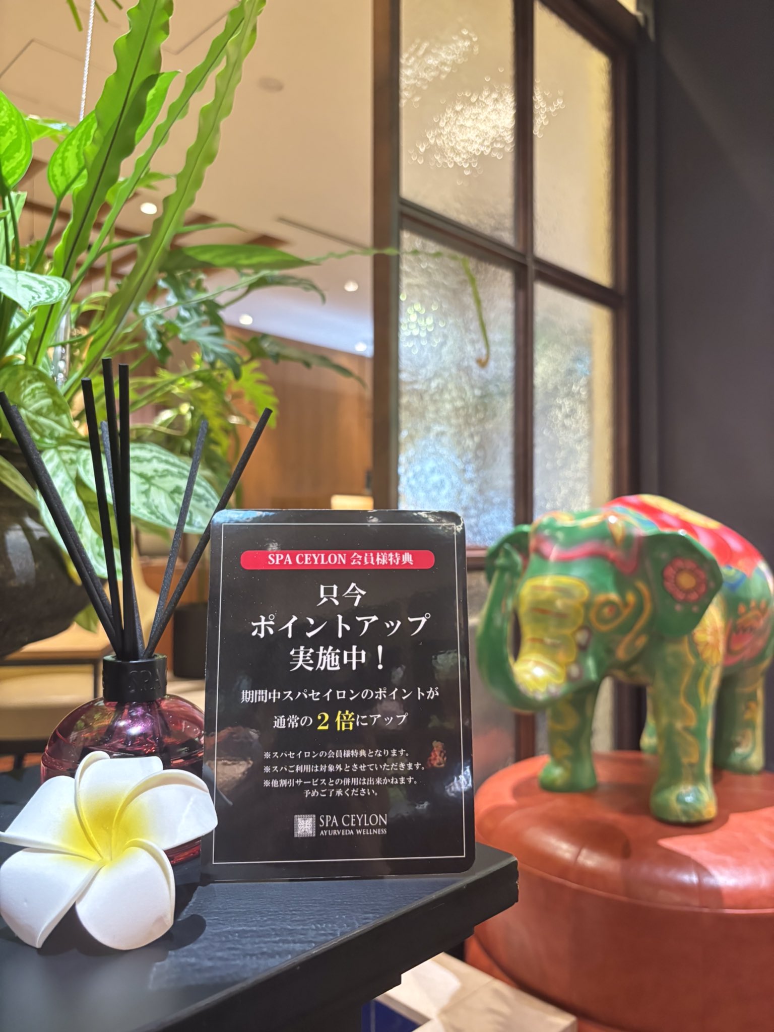 SPA CEYLON 日本 (@SpaCeylonJP) / X