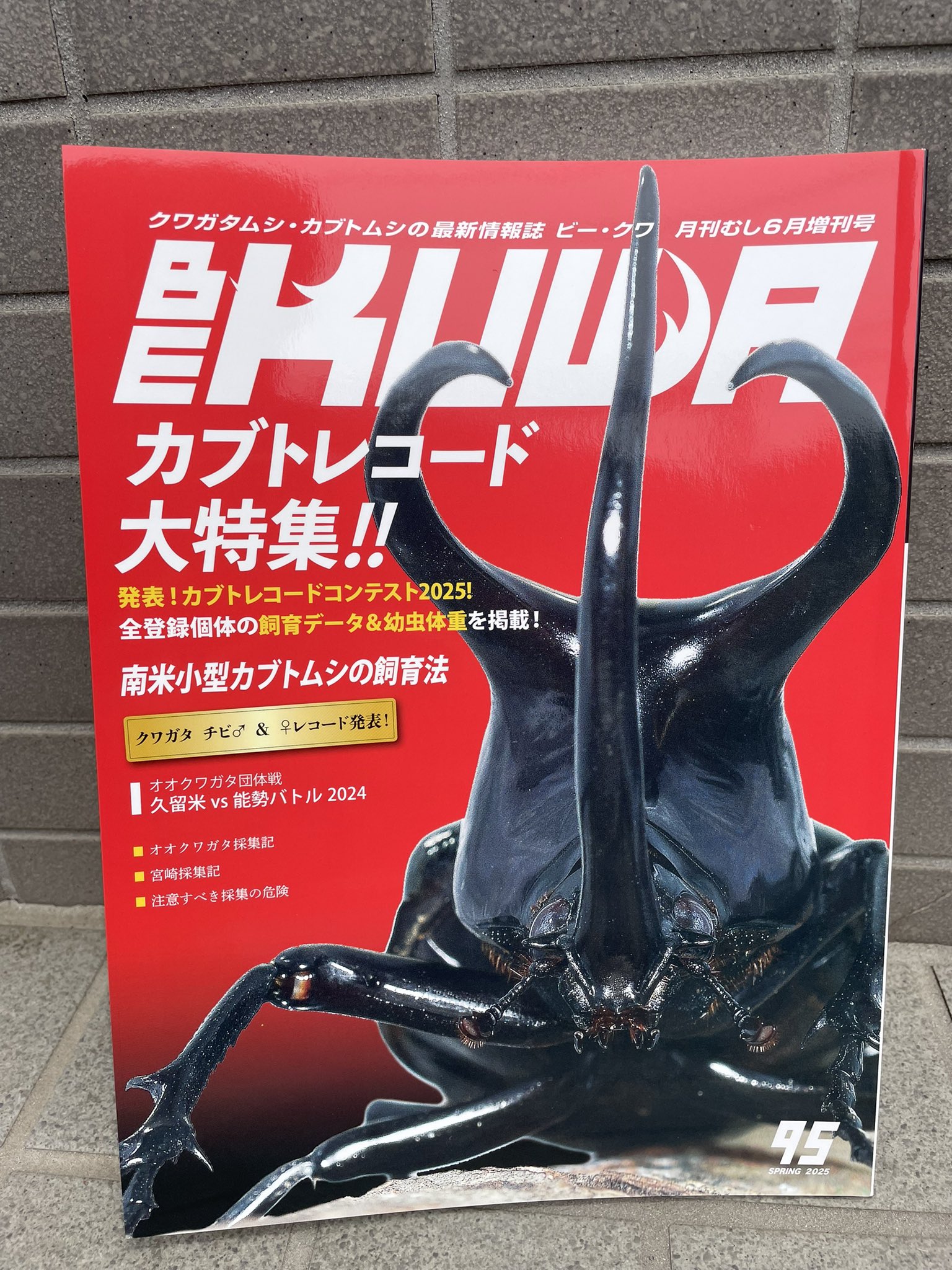 ドルクスグッズ』クワガタ・カブトムシ専門店 (@dgoods4) / X