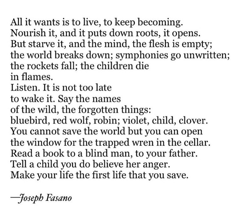 "Instructions for Having a Soul"