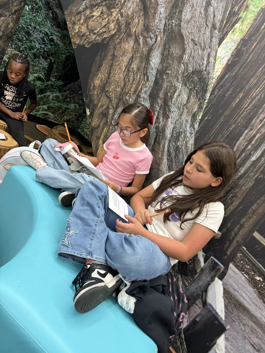 Mrs.Michie's class tweet media