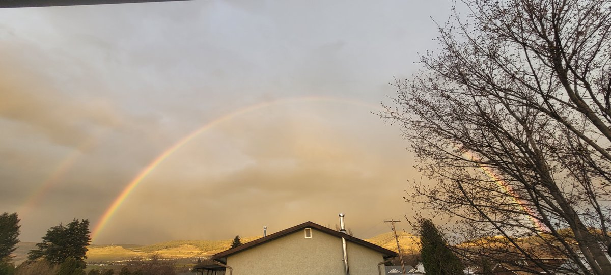 Zachary C tweet media