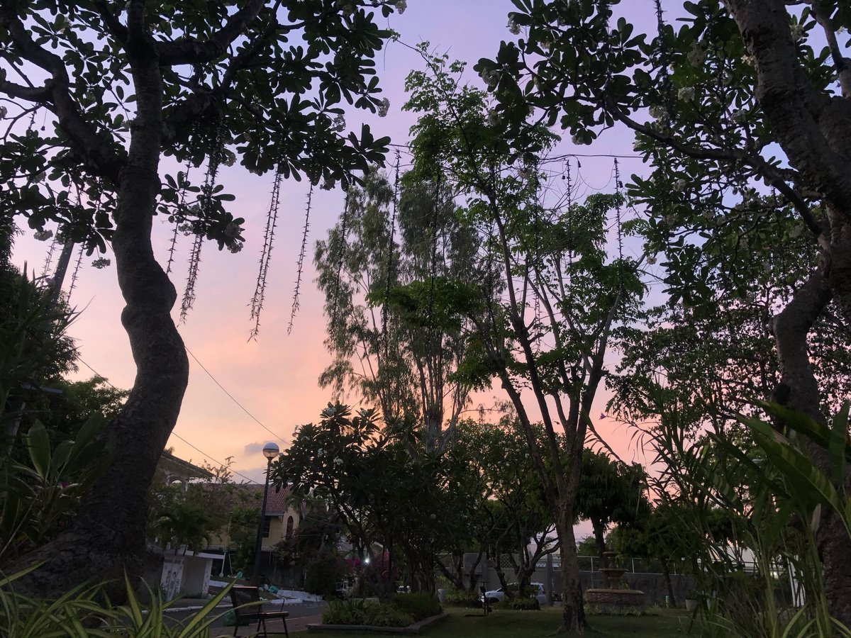 oceanicpixie's tweet photo. to more beautiful days ahead https://t.co/OzGYvbxI0V