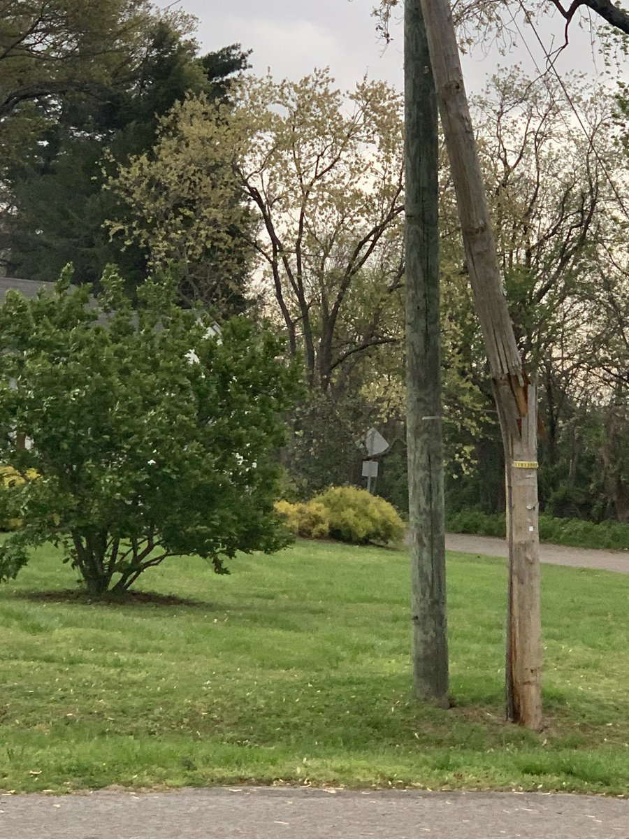 sheetsjenn's tweet photo. @NashSevereWx We’ve got downed power lines (assuming live) on Omandale Dr near Prescott in Oak Hill. FD &amp; PD have been here but still waiting for @NESpower #tspotter https://t.co/Zkgrc3hrXy