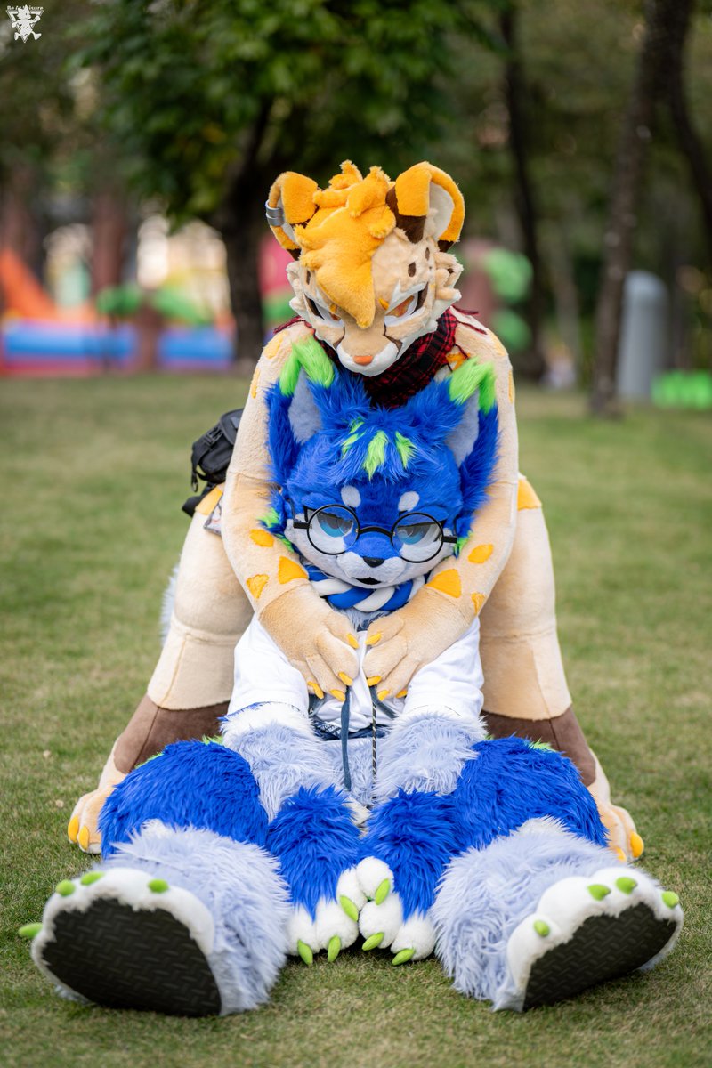 野外 🌼🍃 #fursuitfriday
🐱: <a href="/cheetah_paws/">⚡️CheetahPaws 獵豹爪⚡FurryJoa - Thaitails</a> 
📸 : 忆年