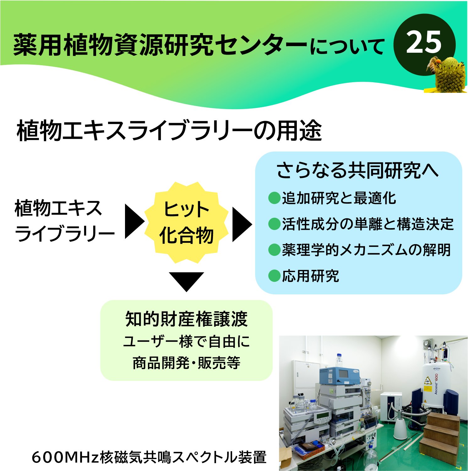 国立研究開発法人医薬基盤・健康・栄養研究所(NIBN 国立研究開発法人医薬基盤・健康・栄養研究所(NIBN