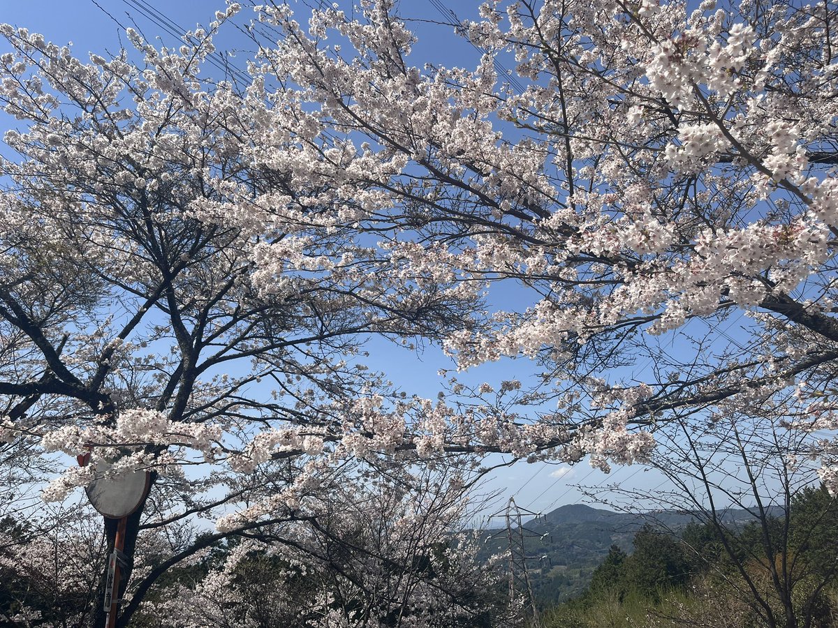 no_fin65's tweet photo. https://t.co/3X3BjjmhMs