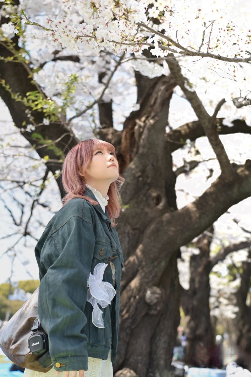 ハマっ子 tweet media