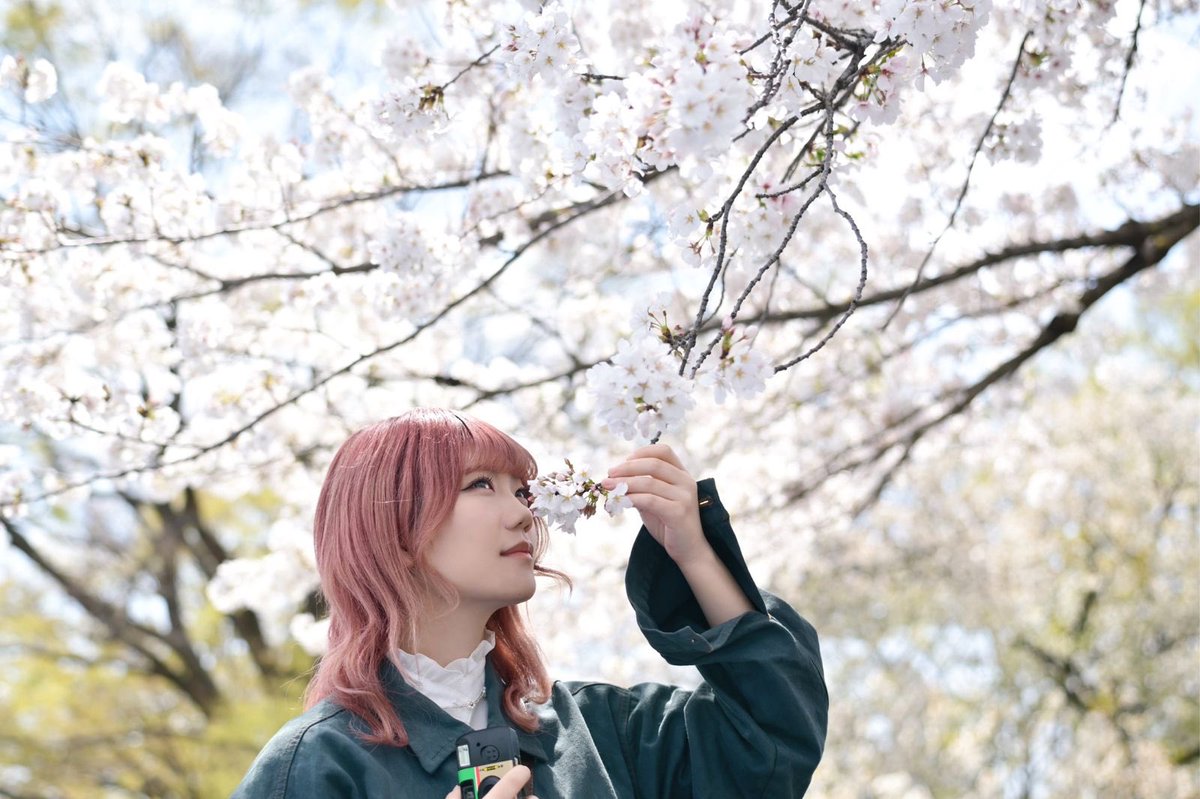 ハマっ子 tweet media