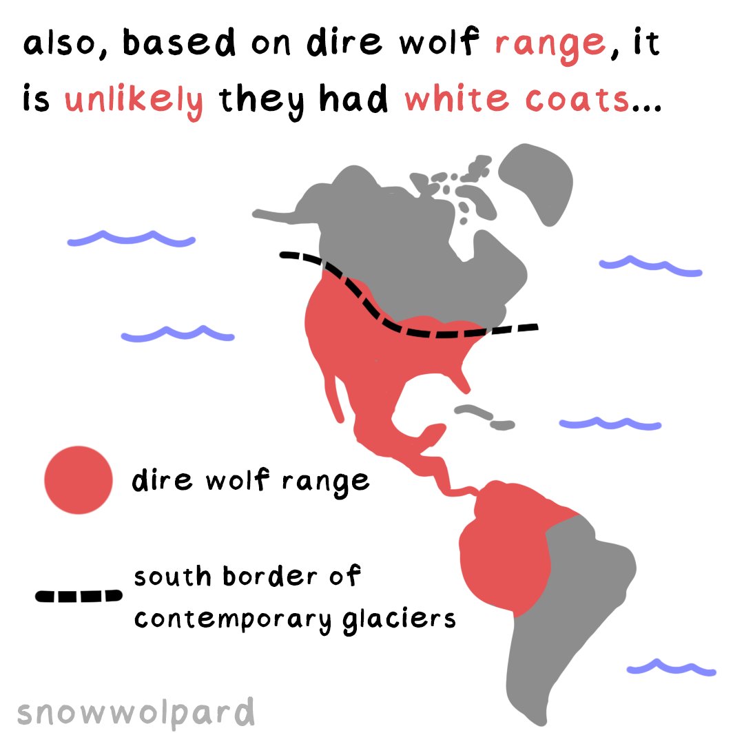 SnowWolpard🐺🪶 tweet media