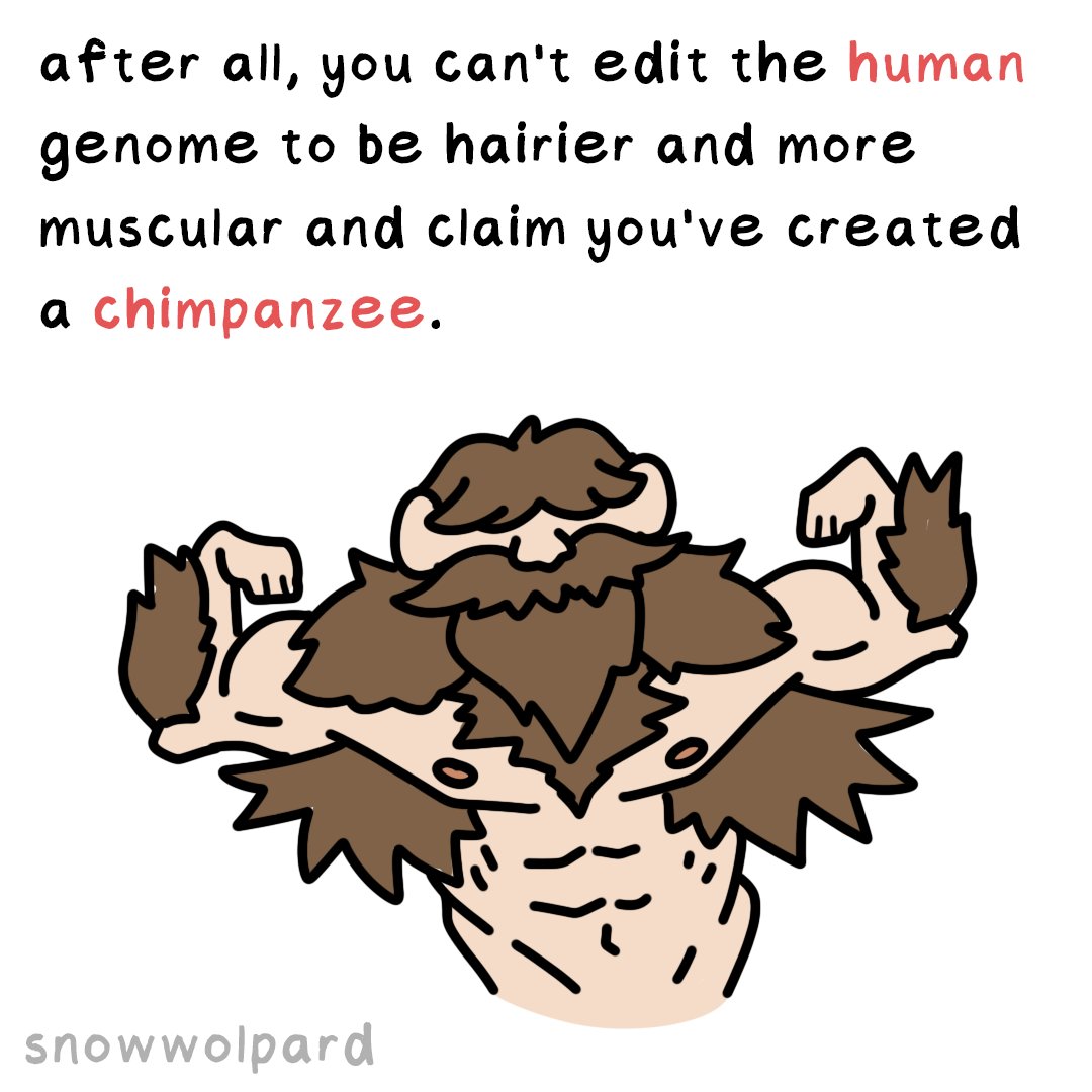 SnowWolpard🐺🪶 tweet media