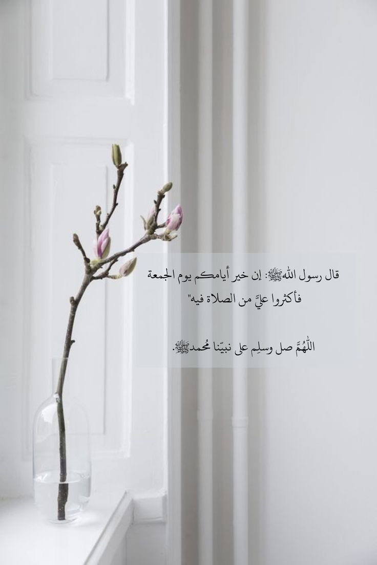 27_amany's tweet photo. "صلوا عليه وسلموا حبًا لهُ .. وزيادة فِي الأجر وَالحَسَنَات ﷺ"

 #يوم_الجمعه 
#اللهم_صل_وسلم_على_نبينا_םבםבﷺ 
#ساعه_استجابه https://t.co/8NHQDoWvZQ