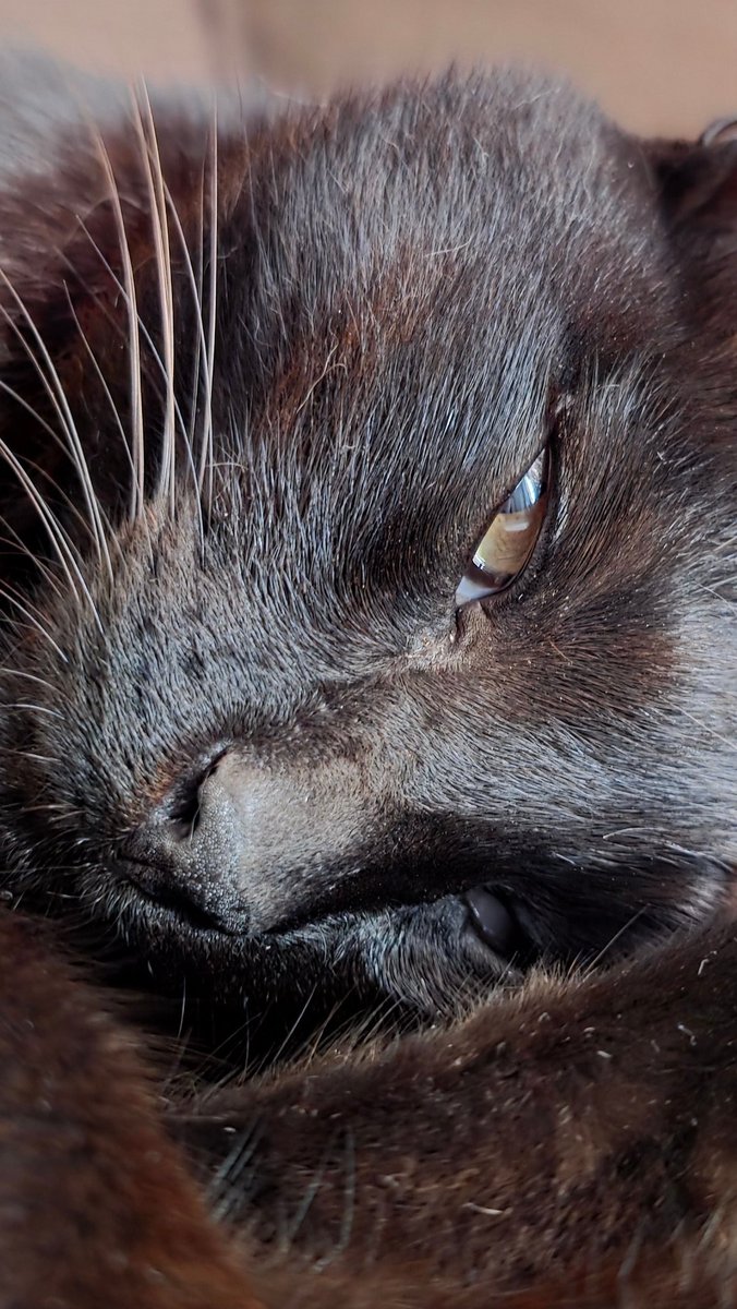 andrehluis's tweet photo. Un regard https://t.co/7QXGVkg2wG