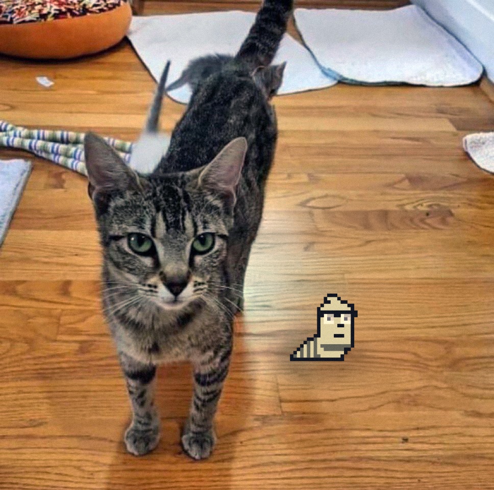 my son said no pickles