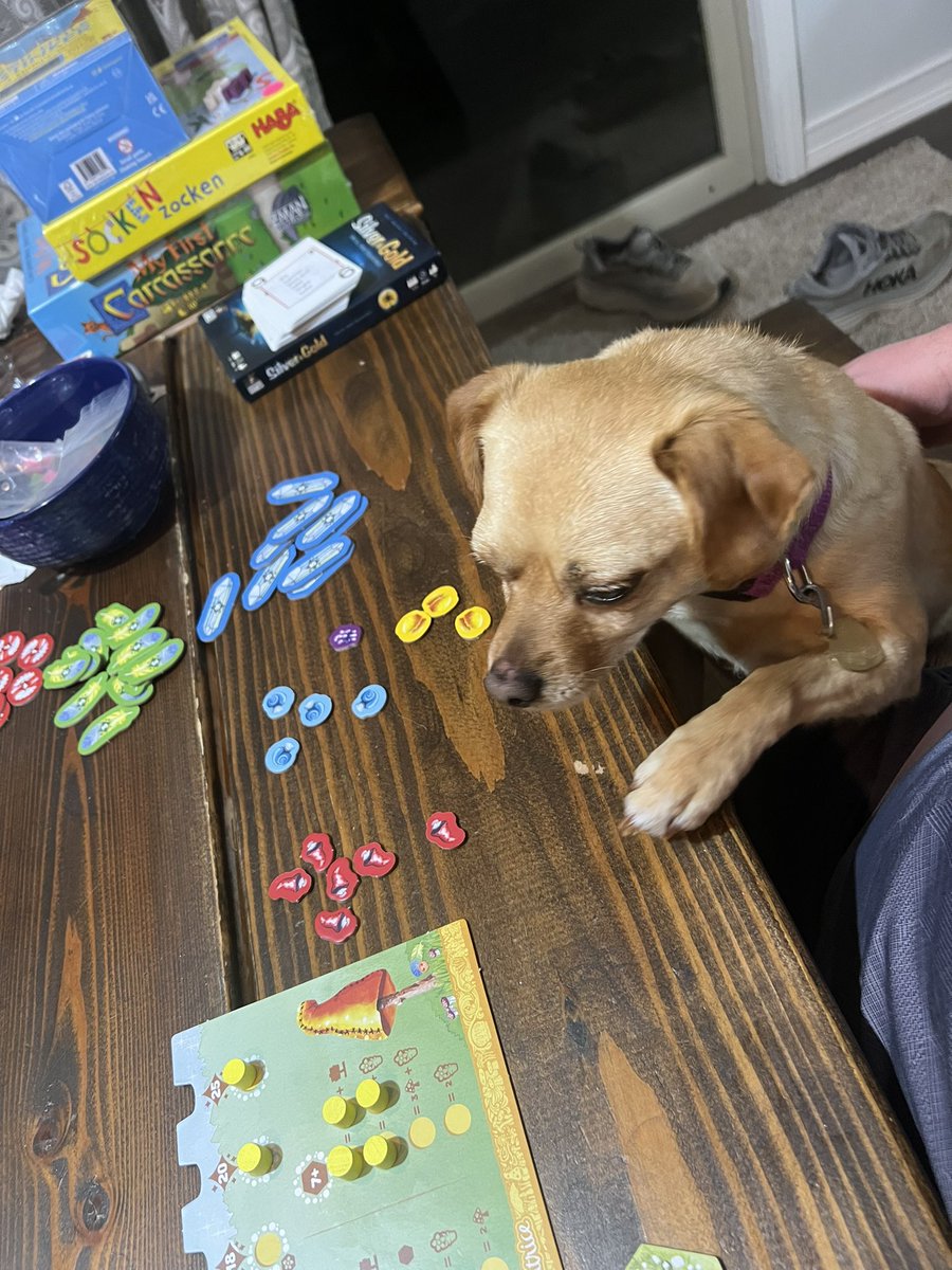 Matt Riddle tweet media