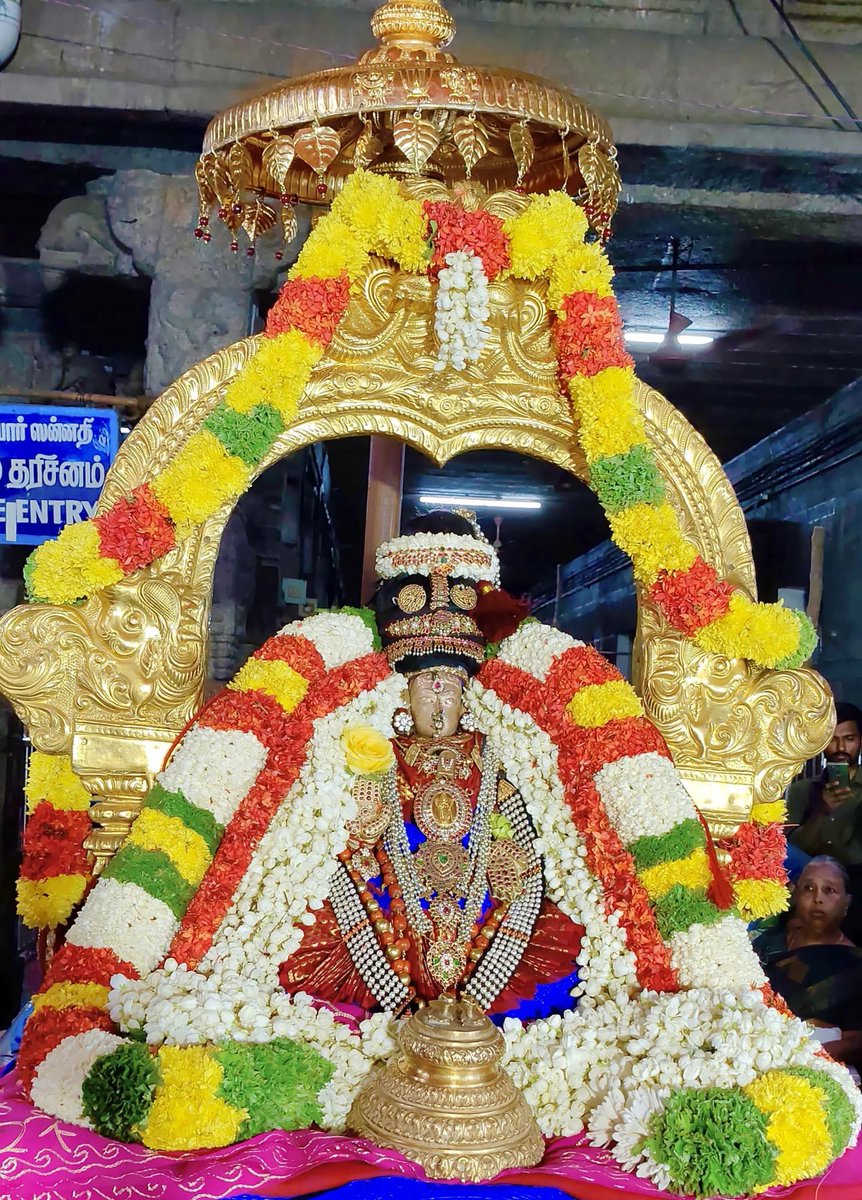 NR_Sanghi's tweet photo. Sri Vaidya Veeraraghava Perumal Kovil, Thiruevvul.. Panguni Uthiram Uthsavam - Kanakavalli Thaayar ❤️🙇♂️🙇♂️🙇♂️🙇♂️
Have a great day and weekend ahead folks https://t.co/Xxol6QzteX