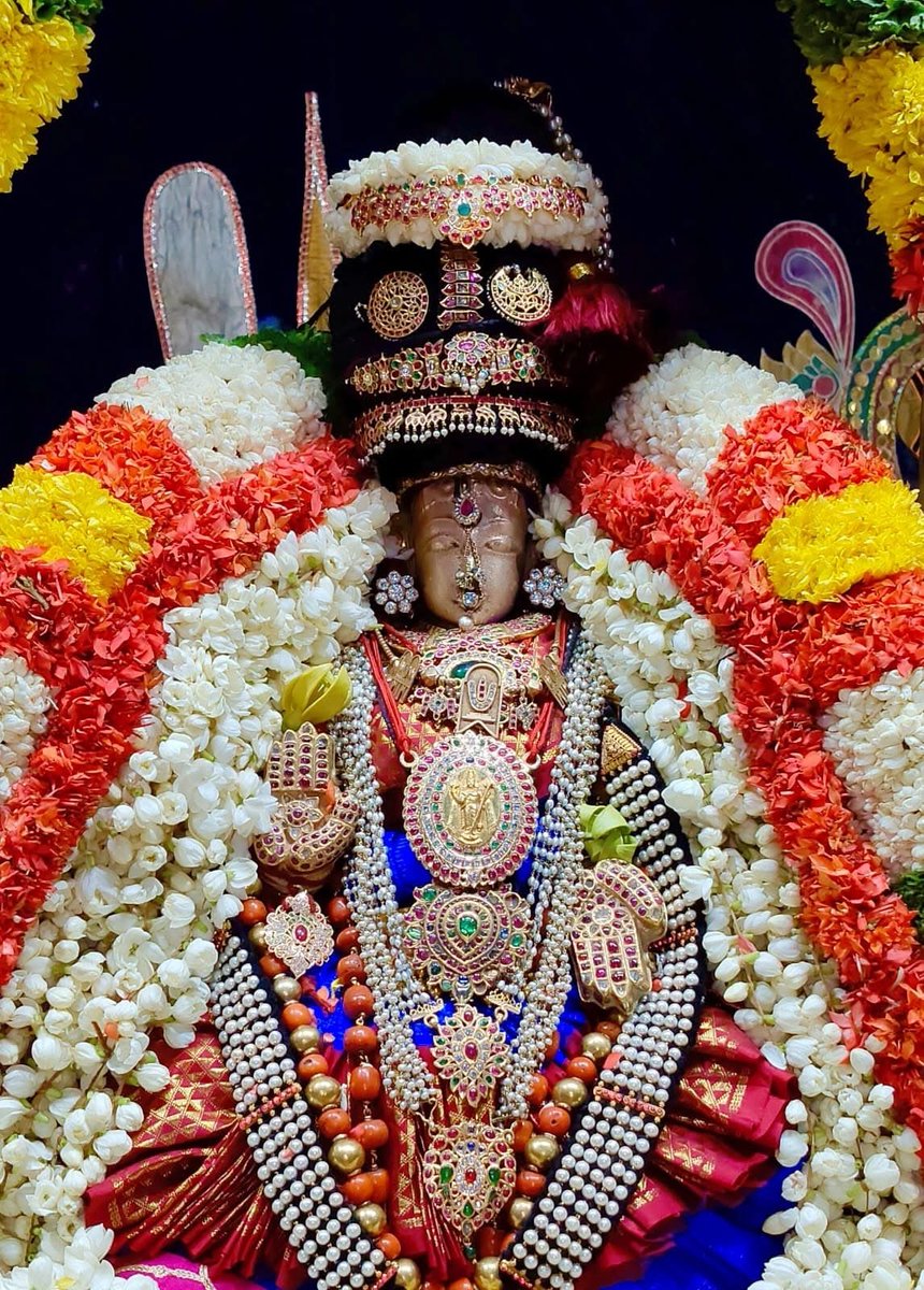 NR_Sanghi's tweet photo. Sri Vaidya Veeraraghava Perumal Kovil, Thiruevvul.. Panguni Uthiram Uthsavam - Kanakavalli Thaayar ❤️🙇♂️🙇♂️🙇♂️🙇♂️
Have a great day and weekend ahead folks https://t.co/Xxol6QzteX