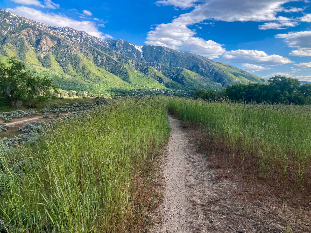 Utah Peaks, Waterfalls, Historic Sites, & Outdoors tweet media