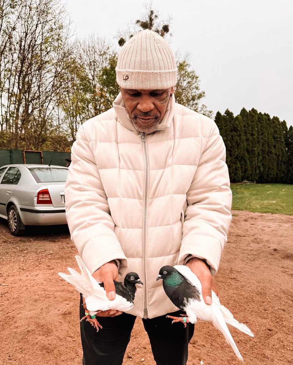 Mike Tyson really out here in his element 😭
