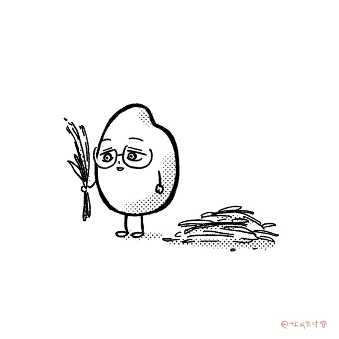🌾🌾🌾✨️ 
