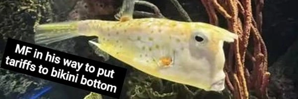 Andrew0xSOL's tweet photo. 💎 DEX paid for $Trumpfish 💎
Name: Trumpfish
MCap: $21.2k
Paid: 1 min, 2 s ago
Created: 50 min, 36 s ago
🔗 CA: 4fQ9WvaGbsbbDRCkRvooeVCnirZ2oekSF7DzwSj7pump

👉 Want to catch these before they pay DEX?
INFINITY AI does exactly that: https://t.co/umjgwkhyJ4

#Trumpfish #DexPaid #PumpFun #SOL