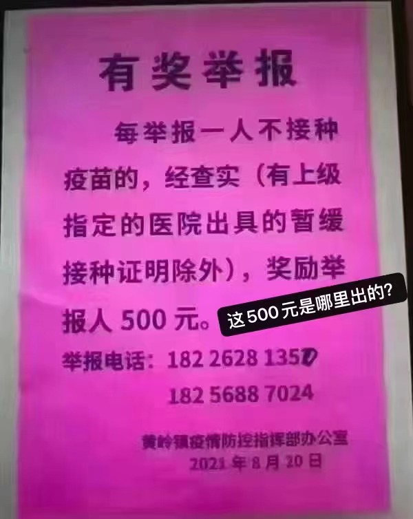 The image is a photograph of a pink poster with Chinese text, which appears to be a notice from a company or organization. The text on the poster states that employees must receive a vaccine and undergo a nucleic acid test, with a fine of 500 yuan for non-compliance. The poster includes contact phone numbers for inquiries. The post text by Daniel Fang (@fang_danie121) mentions that there is evidence everywhere of forced vaccinations and nucleic acid tests, yet authorities claim everything is voluntary, highlighting a perceived contradiction. This context suggests the image is being used to critique or expose the enforcement of health mandates in China.