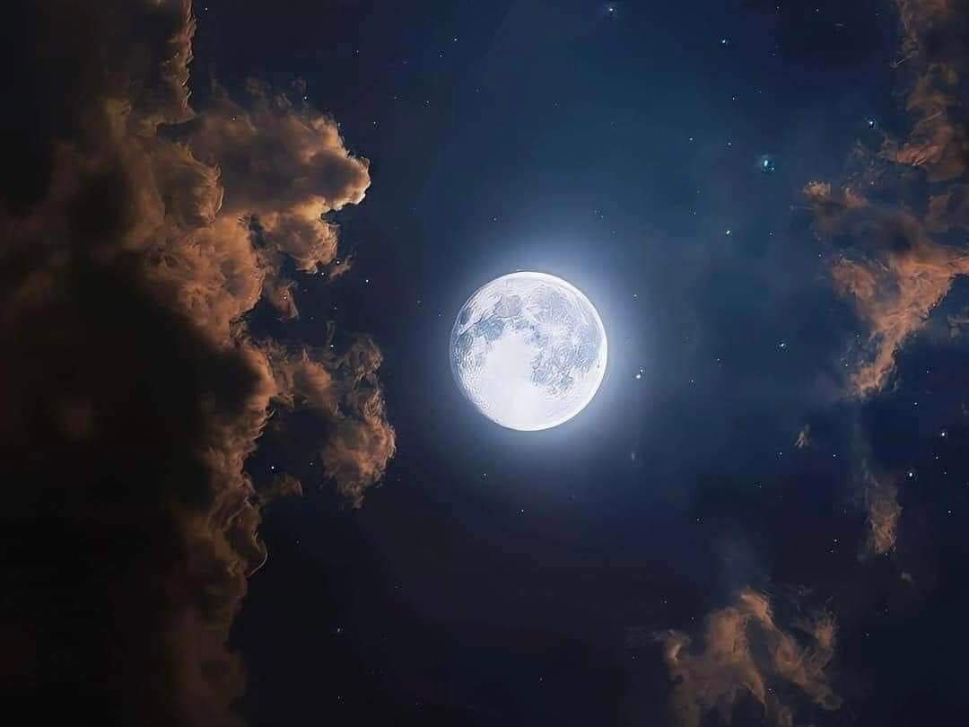 En la quietud de la noche que encuentres descanso y renovación para un nuevo amanecer...💫💕🌙

#BuenasNoches ⭐