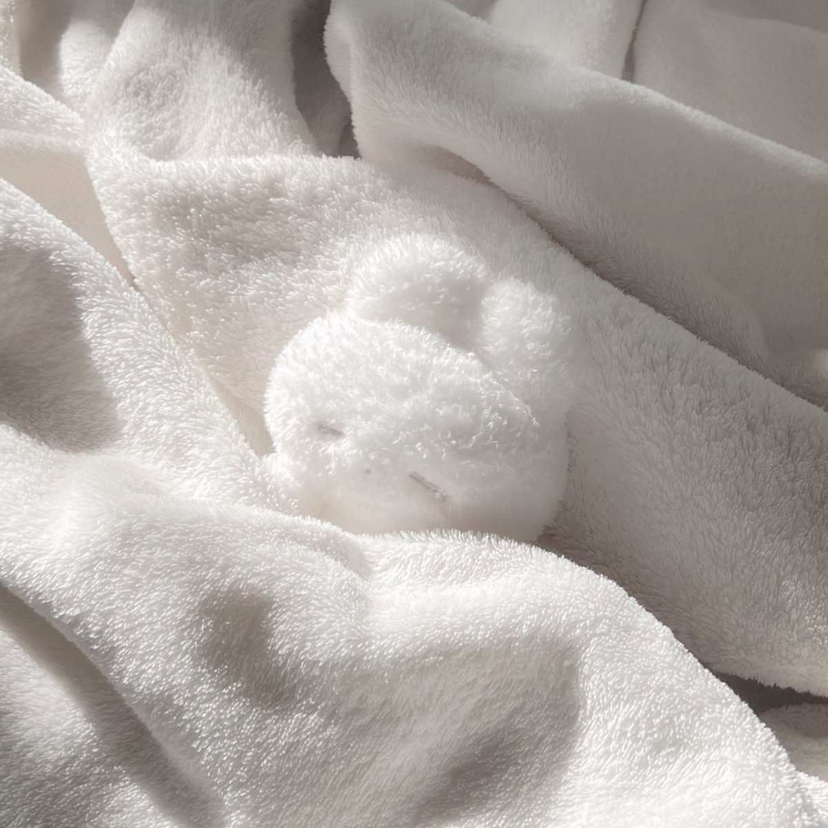 お月さまからのお知らせ ☽

ねむちゃんの
あたたかいおうち探しはじまるょ

<a href="/remme_fami/">ねむfami</a> をフォロー &amp; リプ
してくださった方の中から
抽選でお迎えチケットを
お送りいたします⊹˙⋆

DMの扉をあけておいてね🪟꙳⋆

選ばれた方に
𝟦/𝟣𝟫 お月さまからお手紙が届くょ
お迎えしたい子をおしえてね🪽