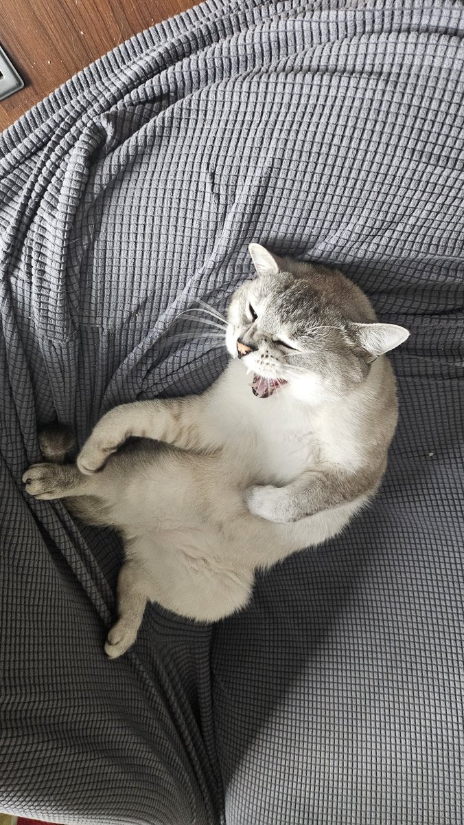 He’s quite the talented one.