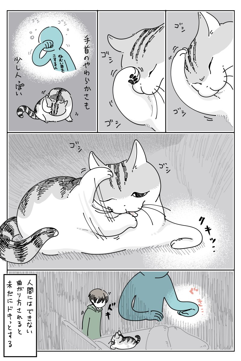 そこ曲がって大丈夫?
https://t.co/pZPF1aAe3U 