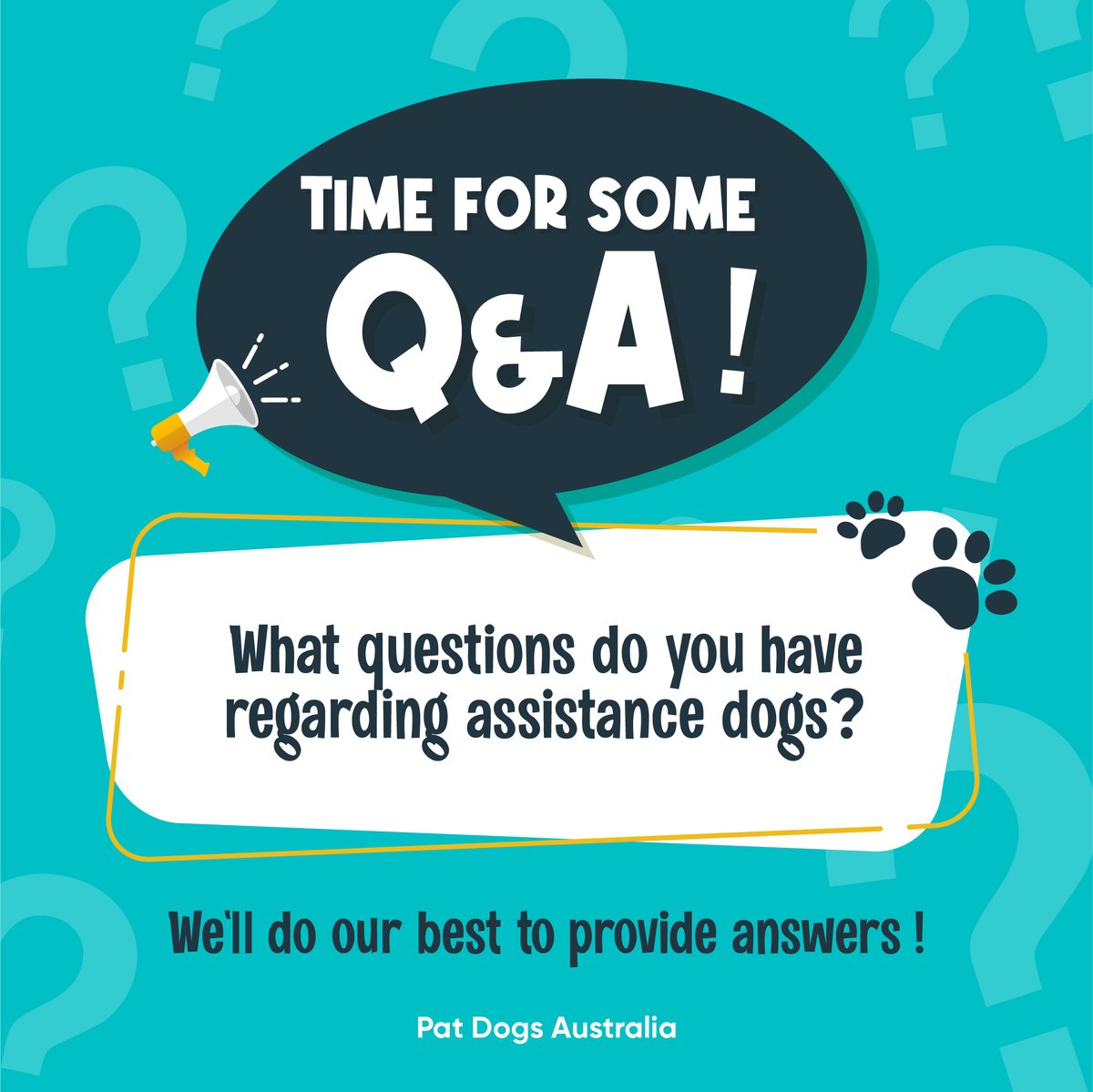 Pat Dogs Australia tweet media