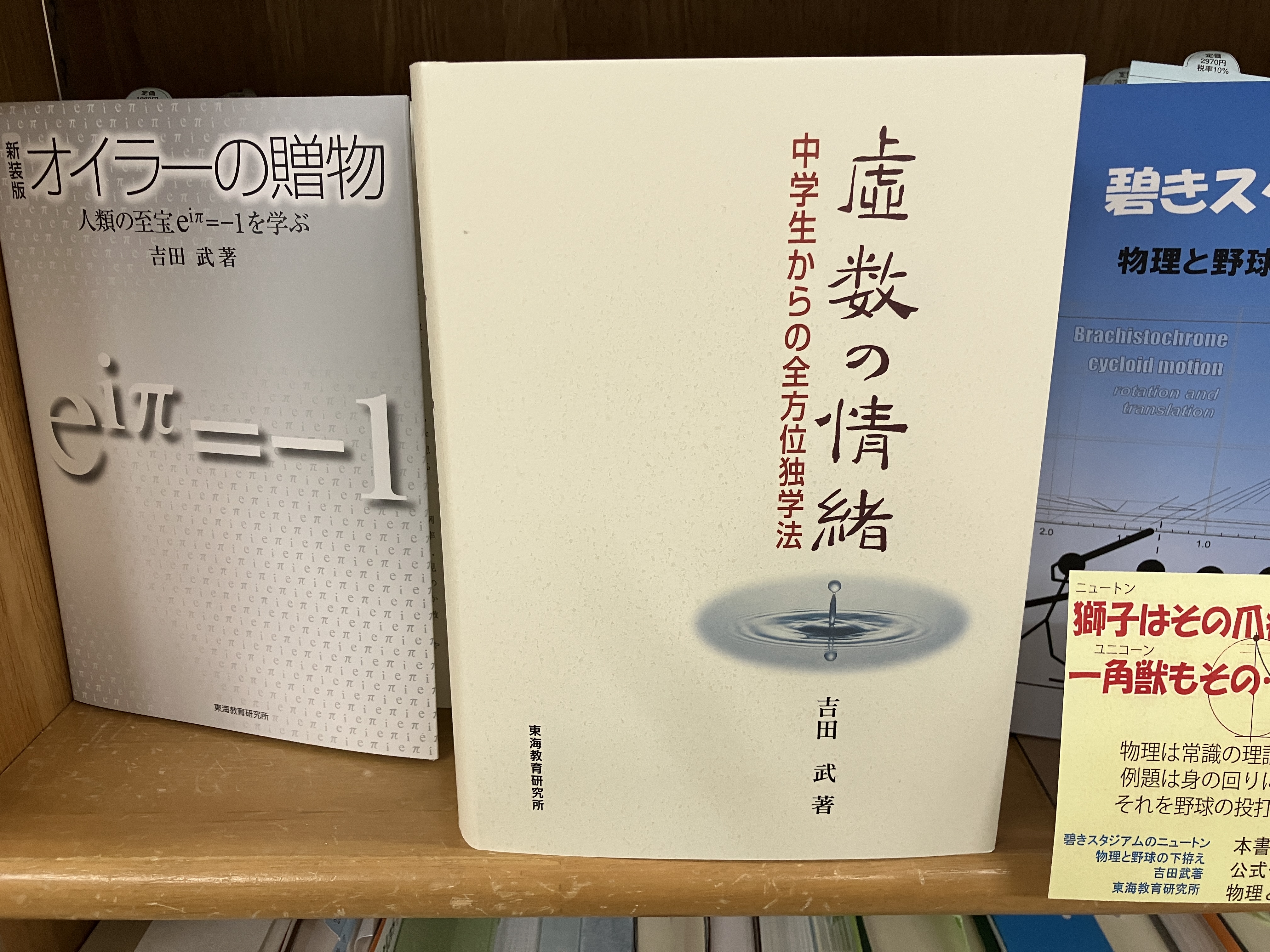 虚数の情緒 （虚数の情緒 中学生からの全方位独学法）