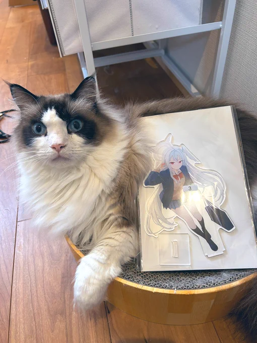 デカ……