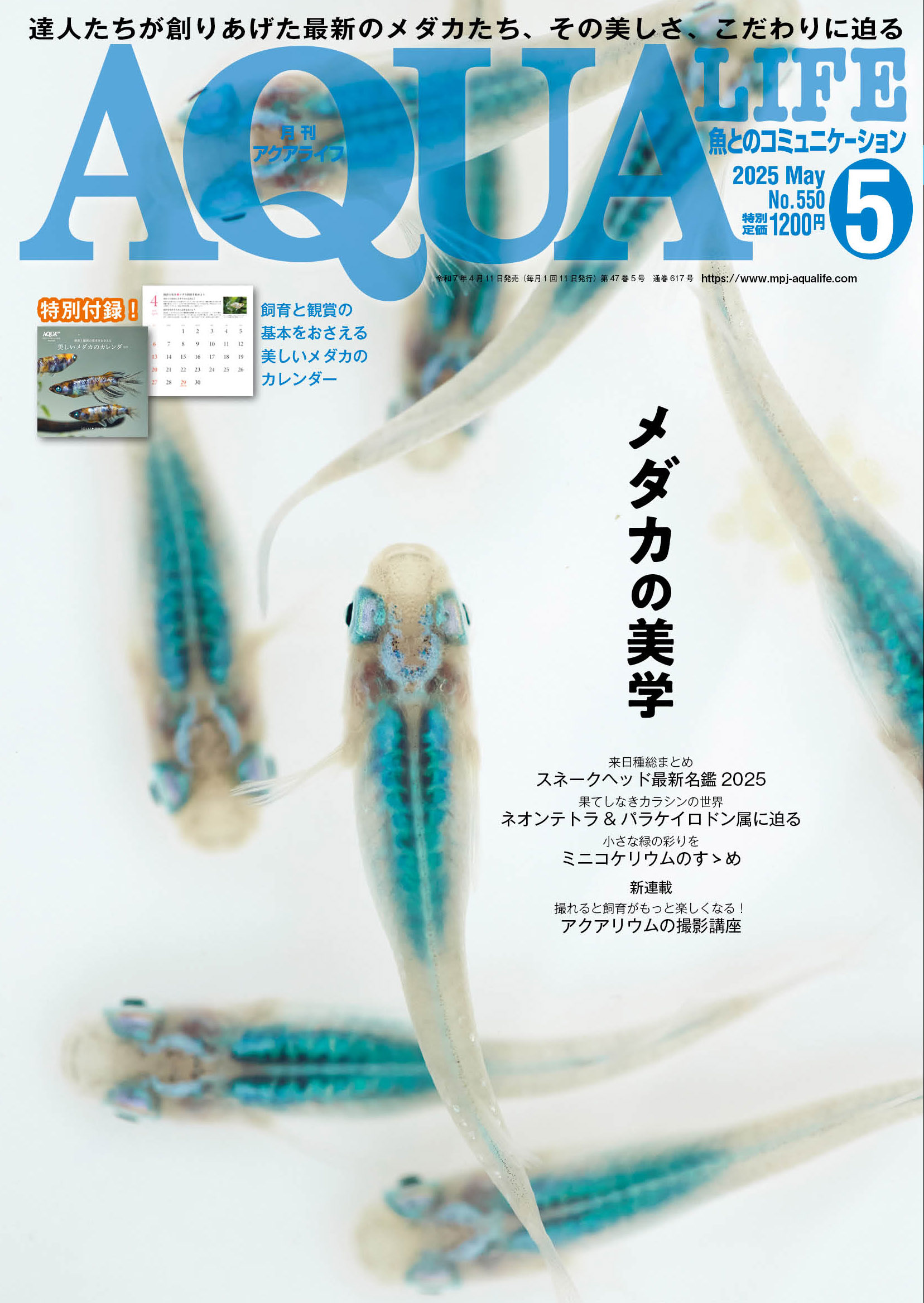 月刊アクアライフ編集部 on X: 