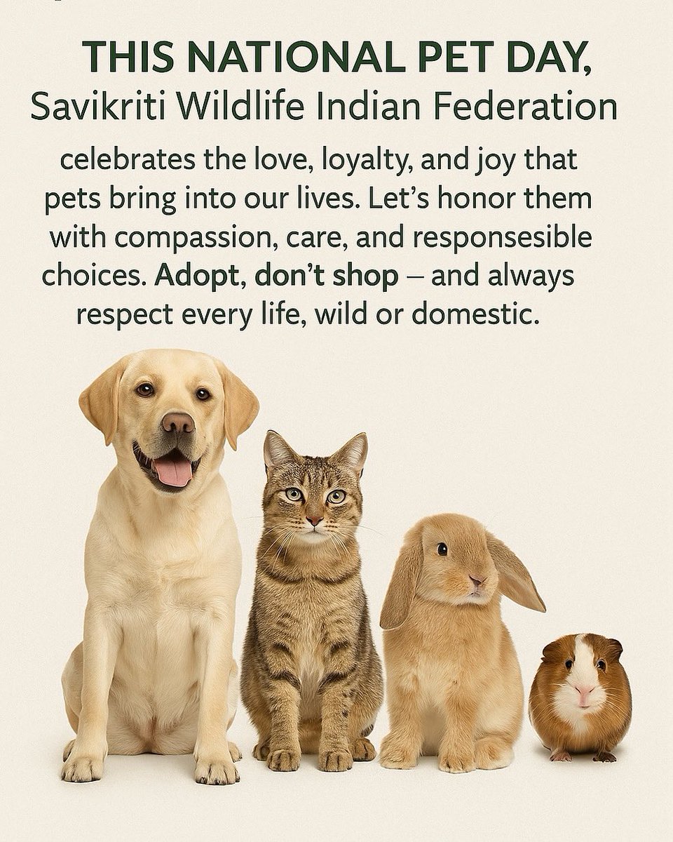VJSFederation's tweet photo. “Life is better with paws, purrs, and unconditional love. Happy National Pet Day to the one who makes every day brighter.”🐾🐶🐱❤️✨
#NationalPetDay #FurEverLove https://t.co/Orz2v7Zn64