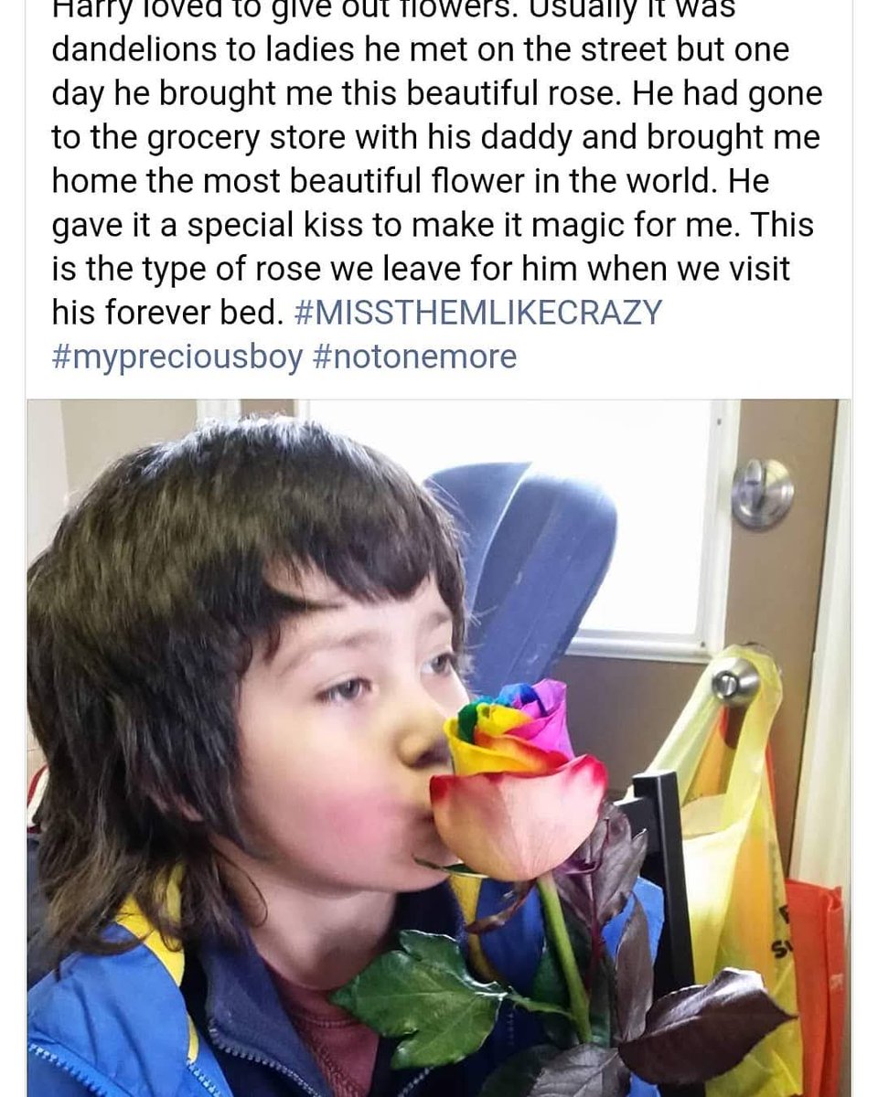 isda1979's tweet photo. Harry loved and saw beauty in all things. He was so excited to find a rainbow flower.
I wish I could see the world the way he did.
#beaurifulboy #rainbows #happyboy https://t.co/m2Fa7jy3dm