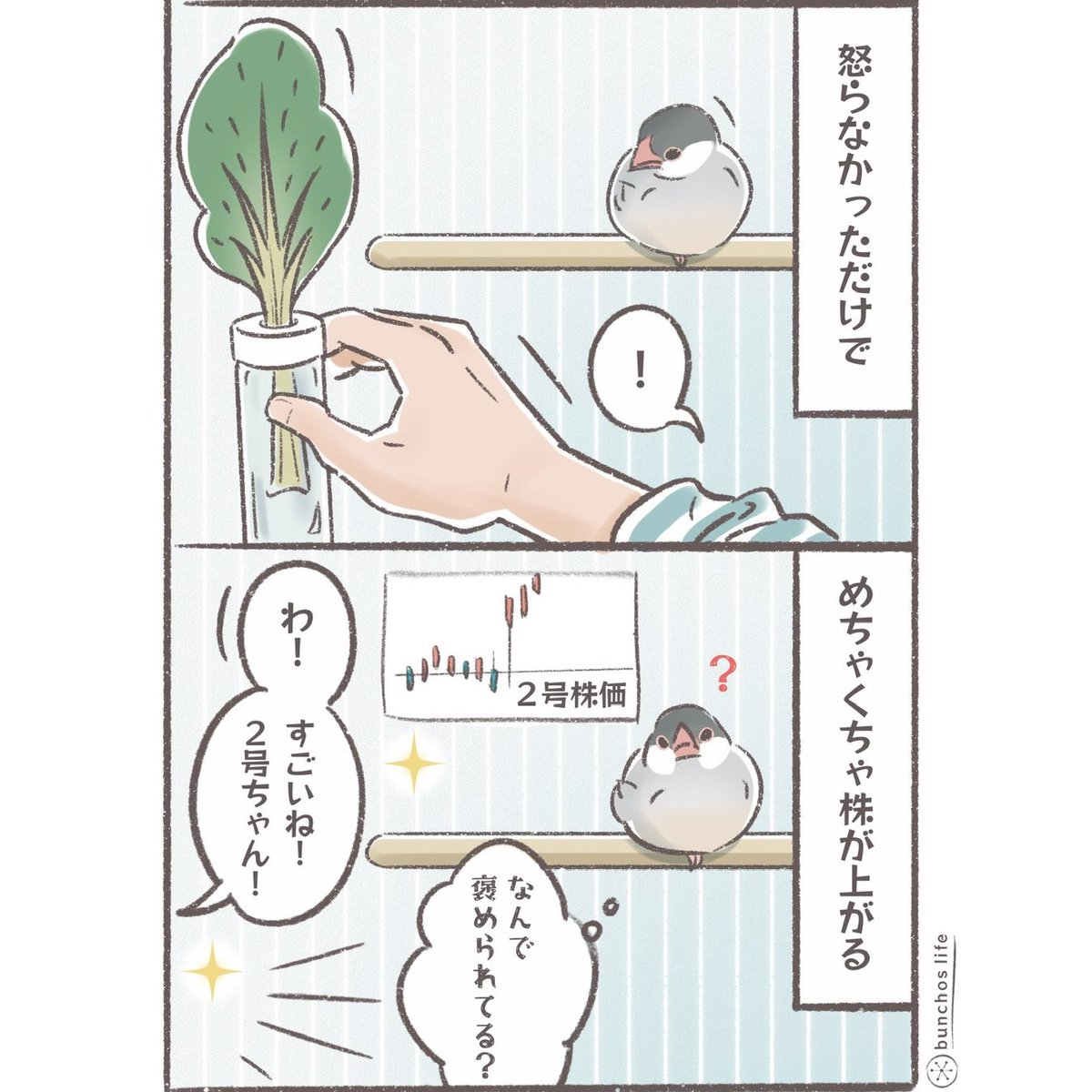 2号はすぐ怒るので怒らなかっただけで株が上がやりすく褒めてもらえる
#文鳥 
#4コマ漫画 