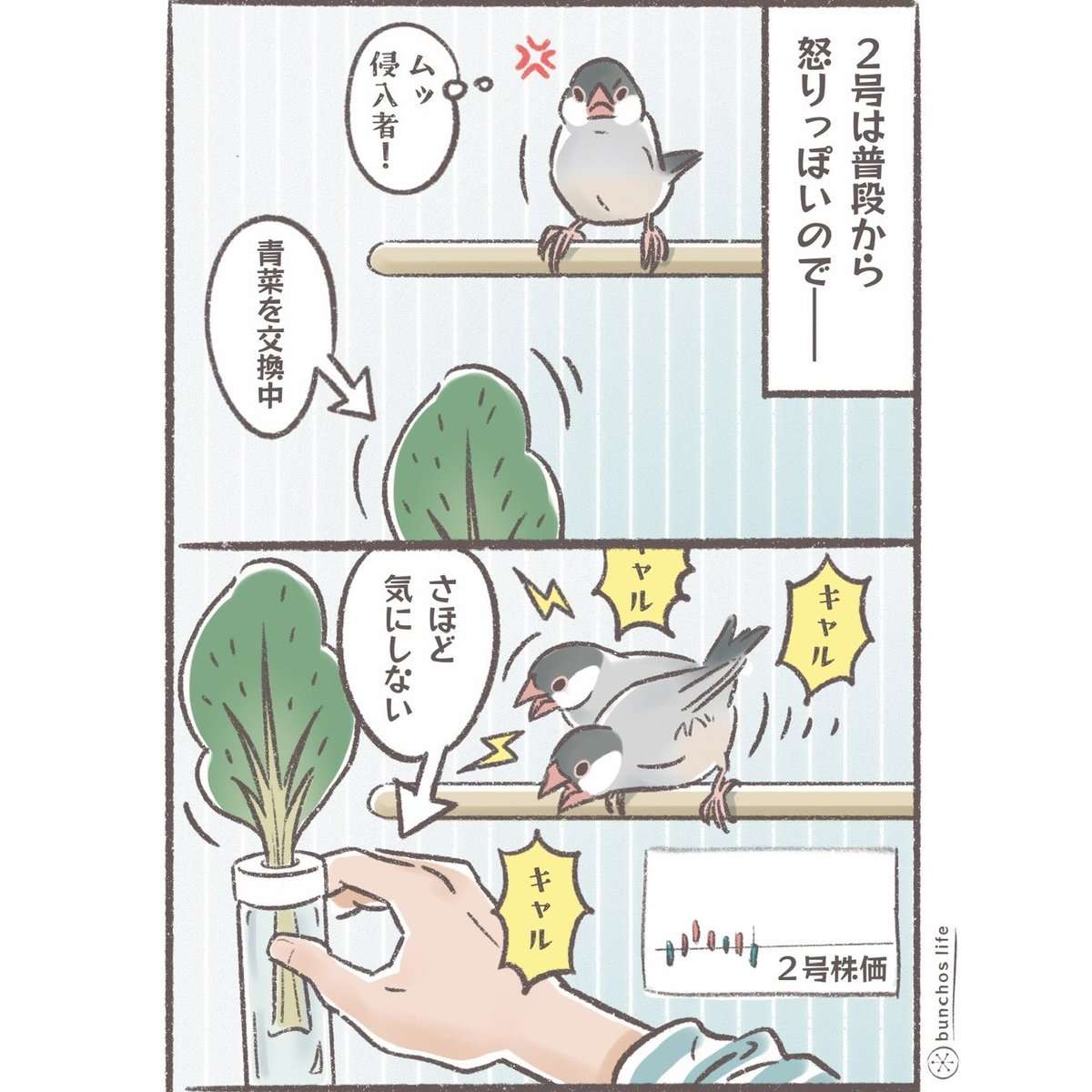 2号はすぐ怒るので怒らなかっただけで株が上がやりすく褒めてもらえる
#文鳥 
#4コマ漫画 