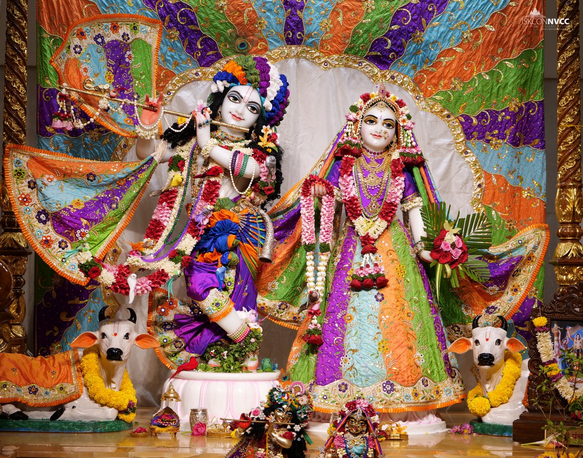 ISKCONPune's tweet photo. 🙏🏽Today's Darshan 📿 🗓11-04-2025🙏
🌷Sri Sri Radhavrindavanchandra🌷
🚩@ISKCONNVCCPune🚩
.
.
#ISKCON #ISKCONNVCC #ISKCONNVCCPune #ISKCONPune
#11thapril #11thapril2025 #Friday #Vrindavan
#Harinaamsankirtan #Radheshyamdas #Radheradhe
#Sankirtan #Kirtan #Mayapur #Prabhupada https://t.co/3ZfKTx7i0m