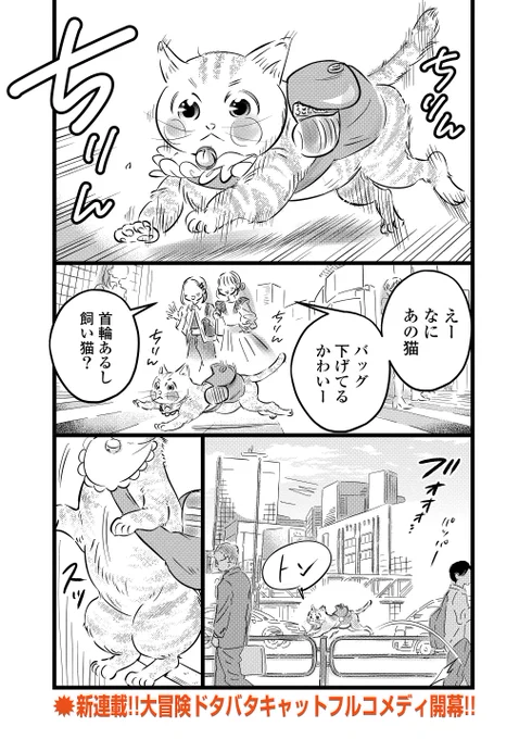 猫が突然いなくなった飼い主をさがす話 (1/7) 