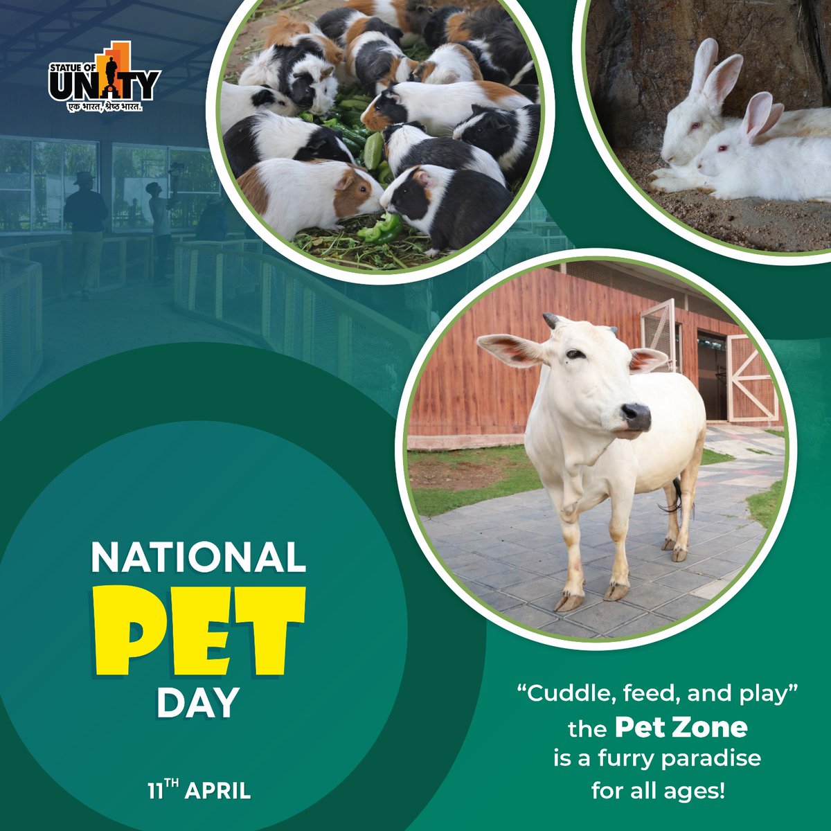 souindia's tweet photo. From cuddly bunnies to colorful birds โ itโs love at first pet.
#PetZone #AnimalLoversParadise #StatueOfUnity
#EktaNagar #150YearOfSardarPatel https://t.co/5tX4gm6YEG
