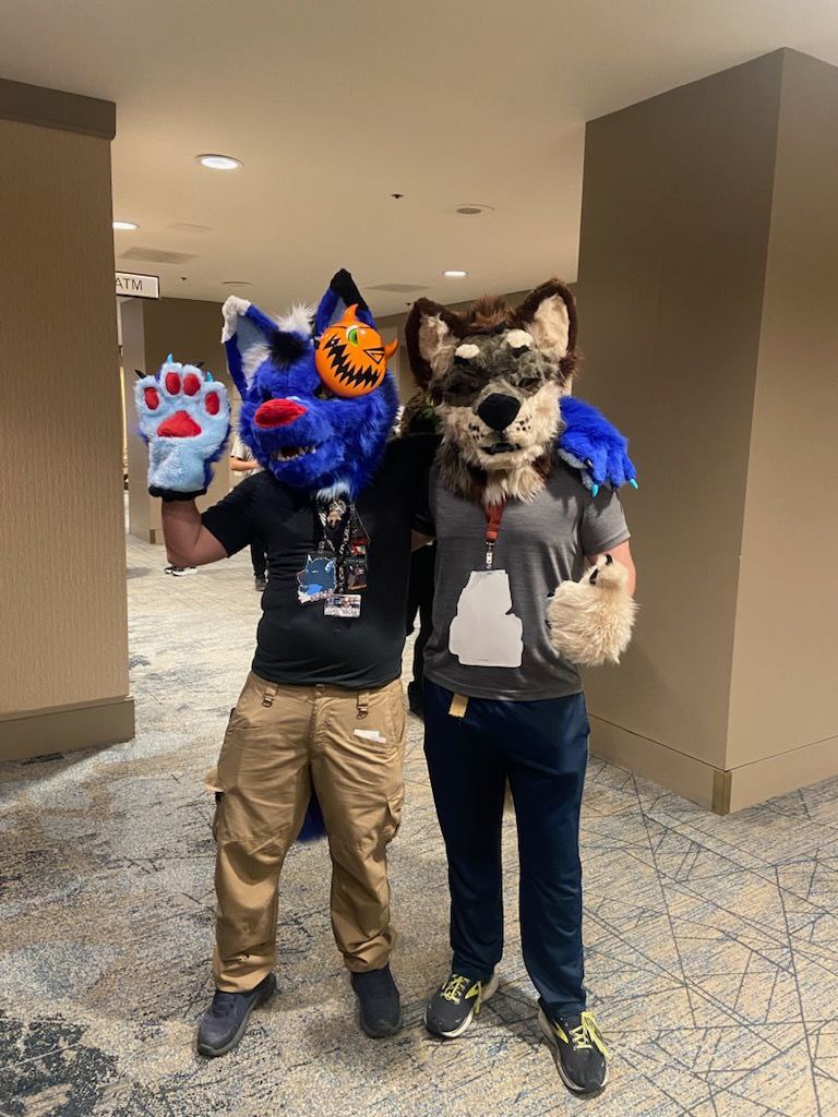 Major 🔜 TFF, FWA tweet media